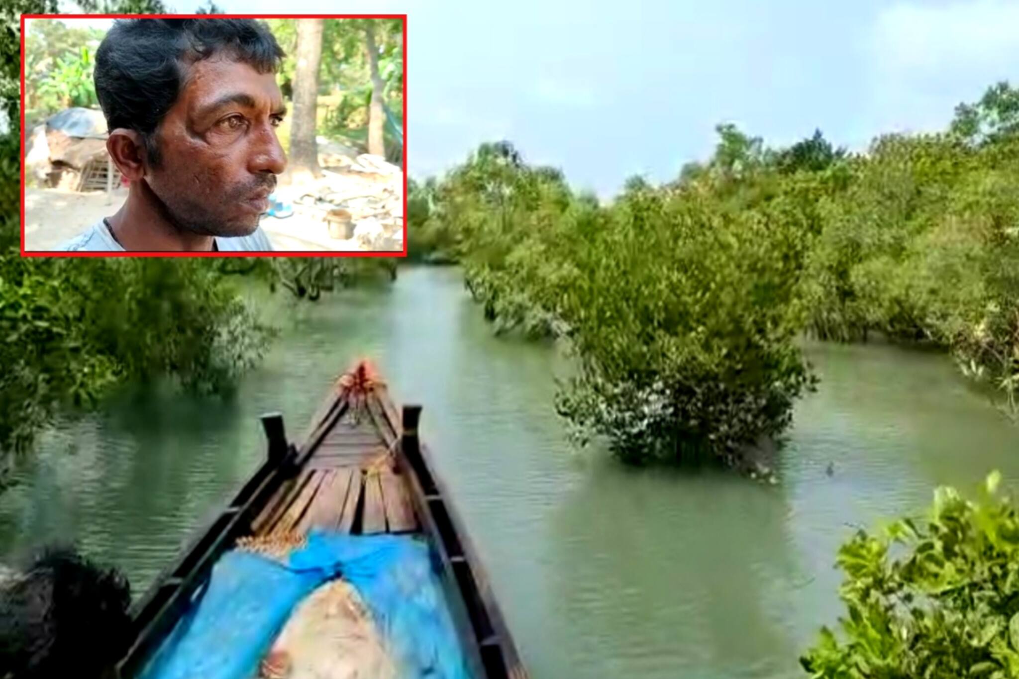 North 24 Parganas: দু'বার বেঁচে ফিরেও পেট চালাতে সুন্দরবনের জঙ্গলে যেতে হয় অনাদকে