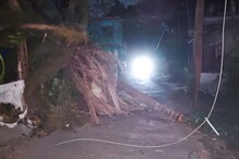 হঠাৎ কালবৈশাখী ঝড়ে গাছ ভেঙে রাস্তা বন্ধ বহু জায়গায়, ছিঁড়ে পড়েছে বৈদ্যুতিক তার হঠাৎ কালবৈশাখী ঝড়ে গাছ ভেঙে রাস্তা বন্ধ বহু জায়গায়, ছিঁড়ে পড়েছে বৈদ্যুতিক তার
