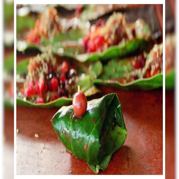 এই কারণেই পান-দোক্তাকে ড্রাগের তকমা দিয়ে দিয়েছেন বিশেষজ্ঞরা৷ অন্য ড্রাগের মতো এ থেকে ইউফোরিয়াও হয়৷ অর্থাৎ মনে পুলক জাগে, এনার্জি বাড়ে৷ বাড়ে অ্যালার্টনেস৷ না খেলে হয় উইথড্রয়াল সিনড্রোম৷ ফলে আরও বেশি করে নেশার দিকে ঝুঁকে পড়েন মানুষ৷