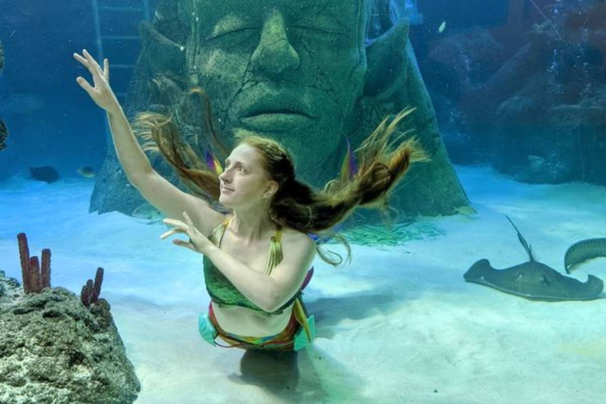 Real Life Mermaid: সত্যিকারের জলপরী এই মহিলা! জলে থাকার জন্য টাকাও পাচ্ছেন