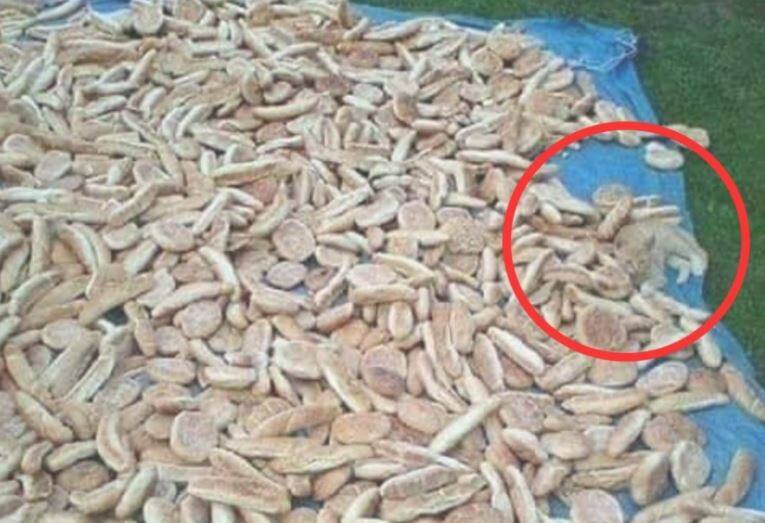 খুঁজে পেলেন?