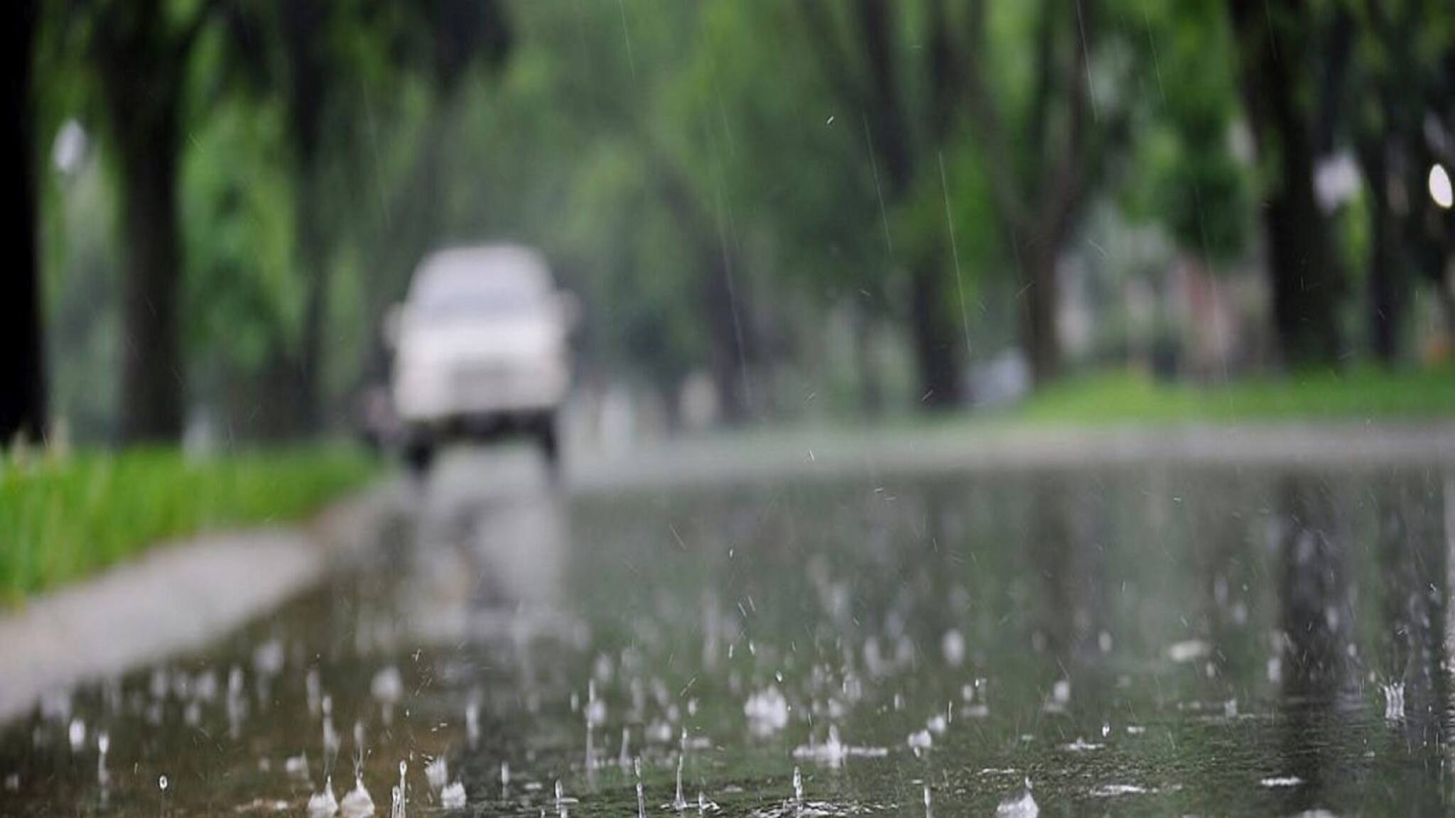 IMD: স্বাভাবিক বৃষ্টিপাতের সম্ভাবনা; কী কী হিসেব করে বর্ষার আগাম পূর্বাভাস দেয় আবহাওয়া দফতর?