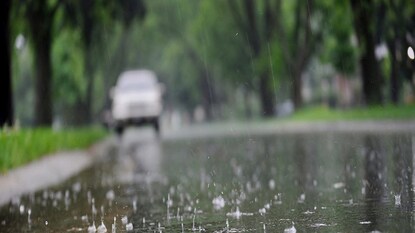 Photo: Representative Photo: Representative