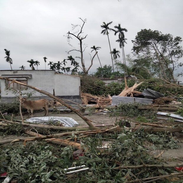 কোচবিহার ১ ব্লকের বিস্তীর্ণ এলাকায় কার্যত ধ্বংসলীলা চালিয়েছে ঝড়। বহু গাছ ভেঙে গিয়েছে। রাস্তার উপর বিদ্যুতের খুঁটি উপড়ে গিয়েছে। একেবারে লণ্ডভণ্ড অবস্থা। 