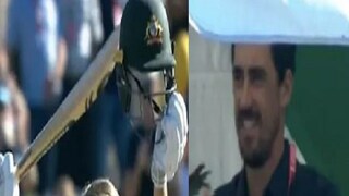 final mitchell starc's wife scores 170 runs, husband dances with joy, viral video- ICC/Instagram/ Video Grab 