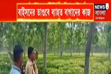 ডুয়ার্স ও কোচবিহারে বাইসনের তাণ্ডব! বাইসনের দাপাদাপিতে ব্যহত কাজ, আতঙ্ক লোকলয়ে!