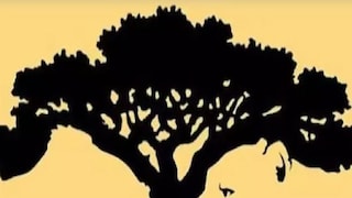 ছবিই বলে দেবে স্বভাব কেমন! সবার আগে কী দেখছেন বলুন তো?