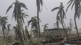 ফাইল ছবি। 