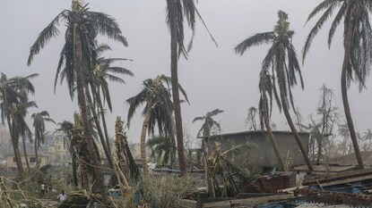 ফাইল ছবি। ফাইল ছবি।