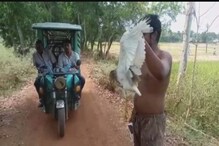 বন্দুক হাতে চোরা শিকারিদের আনাগোনা জঙ্গলে, ভ্রুক্ষেপ নেই বনবিভাগের বন্দুক হাতে চোরা শিকারিদের আনাগোনা জঙ্গলে, ভ্রুক্ষেপ নেই বনবিভাগের