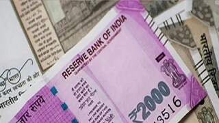 ফুলের ব্যবসায় মার নেই