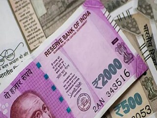 ফুলের ব্যবসায় মার নেই