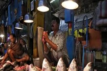 Fish Prices in Kolkata: রুই, কাতলা থেকে পাবদা, ভেটকি! সাতদিনে অগ্নিমূল্য মাছের দামও, রইল তালিকা Fish Prices in Kolkata: রুই, কাতলা থেকে পাবদা, ভেটকি! সাতদিনে অগ্নিমূল্য মাছের দামও, রইল তালিকা