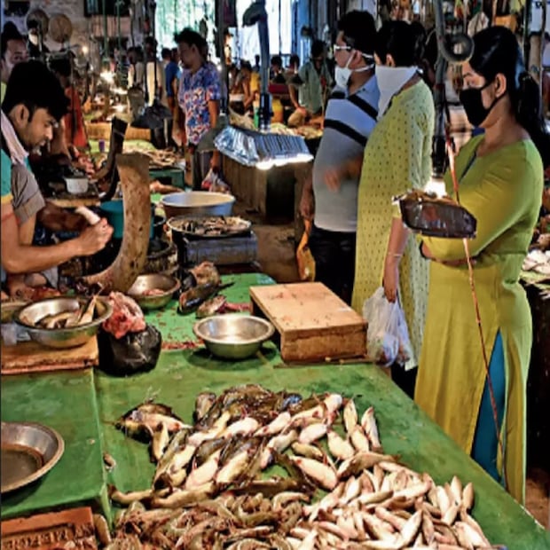 শহরে মাছের জন্য বিখ্যাত মানিকতলা এবং গড়িয়াহাট বাজার৷ এই দুই বাজারেই ভেটকি মাছ বিক্রি হচ্ছে ৫০০ থেকে ৬০০ টাকা কেজি দরে৷ পাবদা- পার্শের দরও ৬০০ টাকার উপরে৷