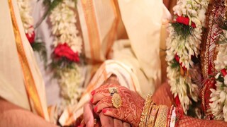 প্রতীকী ছবি। প্রতীকী ছবি।