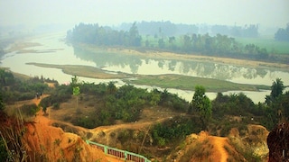 সংগৃহীত ছবি। 