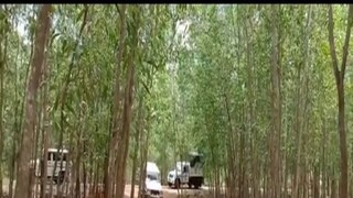 মাওবাদী তৎপরতা বাড়ছে জঙ্গলমহলে৷ 