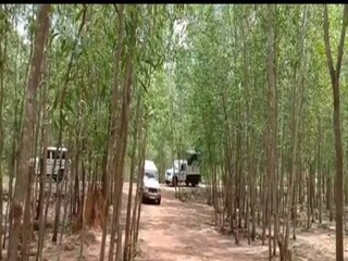 মাওবাদী তৎপরতা বাড়ছে জঙ্গলমহলে৷ 