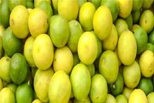 বাজারে আগুন দাম লেবুর! পাতিলেবুর পরিবর্তে কী কী খাওয়া যেতে পারে জানেন? বাজারে আগুন দাম লেবুর! পাতিলেবুর পরিবর্তে কী কী খাওয়া যেতে পারে জানেন?