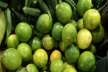 Lemon price in Kolkata: মুসম্বির সঙ্গে পাল্লা দিচ্ছে পাতি লেবুও! এক পিসের দাম শুনে ক্রেতাদের মাথায় হাত Lemon price in Kolkata: মুসম্বির সঙ্গে পাল্লা দিচ্ছে পাতি লেবুও! এক পিসের দাম শুনে ক্রেতাদের মাথায় হাত
