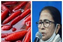 'ল্যাংচা হাব কেমন চলছে?', জেলাশাসকের জবাবে অবাক মমতা, দিলেন নির্দেশ 'ল্যাংচা হাব কেমন চলছে?', জেলাশাসকের জবাবে অবাক মমতা, দিলেন নির্দেশ