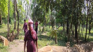 সবুজ দ্বীপে মনোরঞ্জন ব্যাপারী৷ 