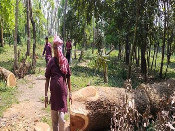 সবুজ দ্বীপে মনোরঞ্জন ব্যাপারী৷ 