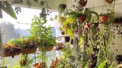 Gardening Tips Gardening Tips