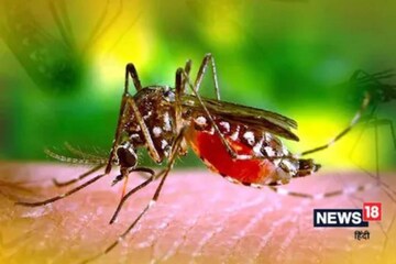 সন্তানকে মশার কামড় থেকে নিরাপদে রাখতে ব্যবহার করুন এই সহজ ঘরোয়া টোটকাগুলি