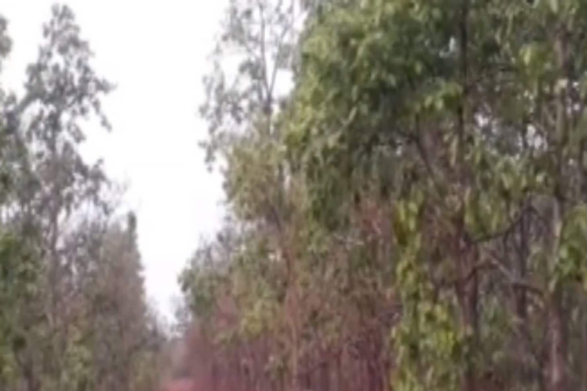 মহুলে বুঁদ জঙ্গলমহলের আদিবাসী প্রধান গ্রামগুলি