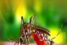 সন্তানকে মশার কামড় থেকে নিরাপদে রাখতে ব্যবহার করুন এই সহজ ঘরোয়া টোটকাগুলি সন্তানকে মশার কামড় থেকে নিরাপদে রাখতে ব্যবহার করুন এই সহজ ঘরোয়া টোটকাগুলি