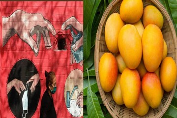 কোভিডের নতুন ভ্যারিয়্যান্ট এক্স ই থেকে বাঁচতে চান? গরমে বেশি করে আম খান