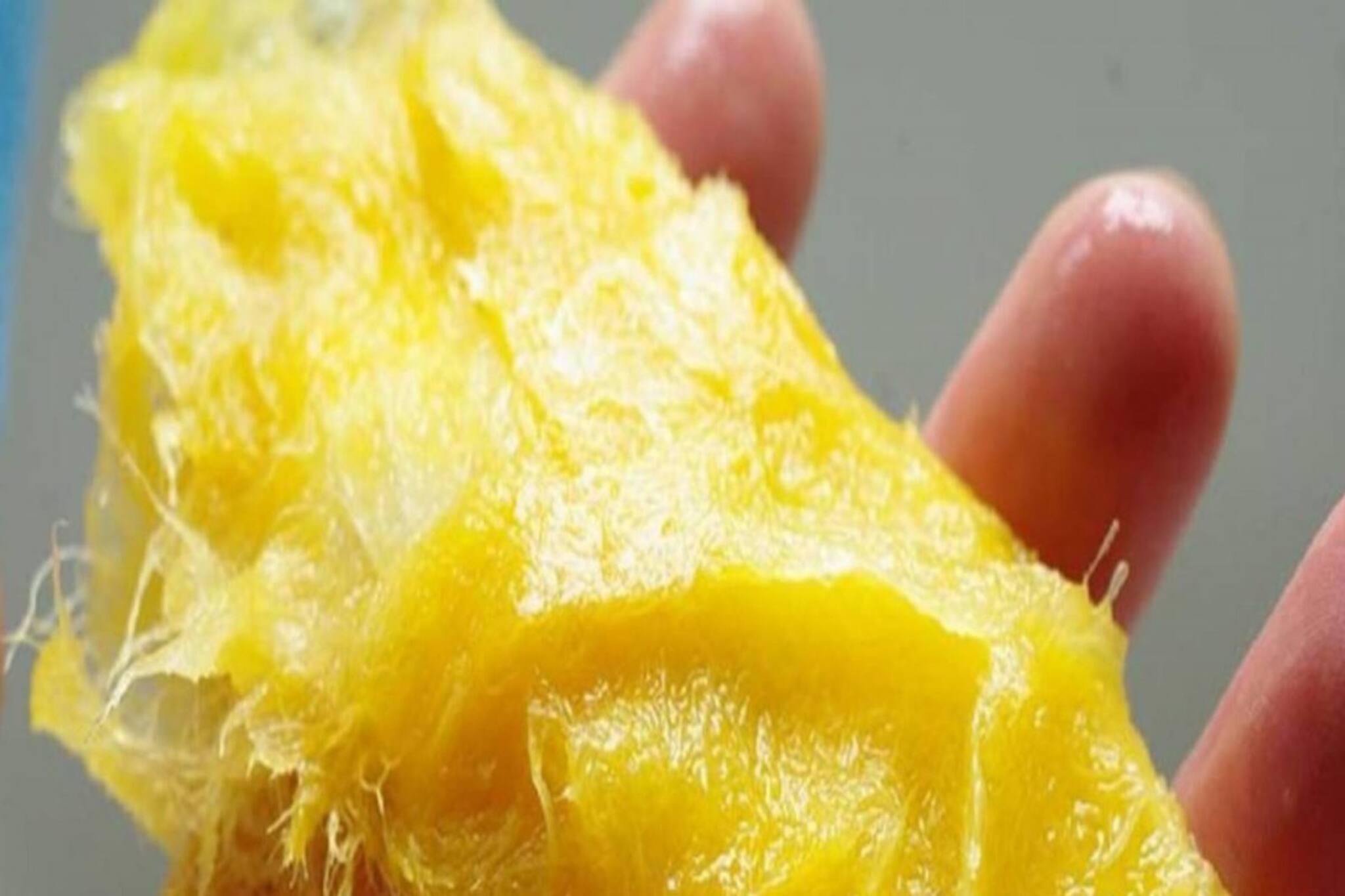 আম খেয়ে আঁটি ছুড়ে ফেলে দেন? অজান্তেই হারাচ্ছেন এর অঢেল উপকারিতা