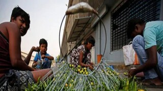 এই চক্রের মধ্যেই কৃষকরা এবছর উৎপাদনে সমস্যায় পড়েছেন এই চক্রের মধ্যেই কৃষকরা এবছর উৎপাদনে সমস্যায় পড়েছেন