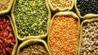 Lentils