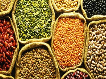 Lentils