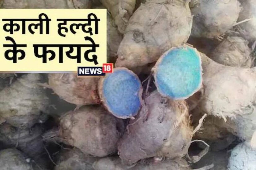 আদা, লেবু, শশার মতো উপাদানের সঙ্গে কৃষ্ণ হলুদ মিশিয়ে স্মুদি বানিয়ে খেতে পারেন প্রাতরাশে৷