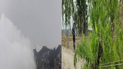 ঝড়ের প্রভাবে ক্ষতিগ্রস্ত হয়েছে শিলিগুড়ি লাগোয়া ফুলবাড়ির বেশ কয়েকটি এলাকা ঝড়ের প্রভাবে ক্ষতিগ্রস্ত হয়েছে শিলিগুড়ি লাগোয়া ফুলবাড়ির বেশ কয়েকটি এলাকা