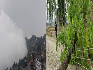 ঝড়ের প্রভাবে ক্ষতিগ্রস্ত হয়েছে শিলিগুড়ি লাগোয়া ফুলবাড়ির বেশ কয়েকটি এলাকা