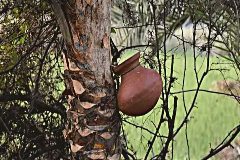 খেজুর গাছের গা কেটেই নলি তৈরি হয় বলে এরকম নাম হলেও হতে পারে। আমাদের এই রাজ্যে এক সময় নলেন গুড়ের বড় হাট বসত। এখন আর সেসব কিছু হয়না। নলেন গুড় থেকে তৈরি হত লালচে বাদামি রঙের চিনি। তাই একে লালি গুড়ও বলা হত। সময়ের সঙ্গে সঙ্গে অবশ্য এতটুকু ম্লান হয়নি নলেন গুড়ের মহিমা। আজকাল অবশ্য টিউবেও পাওয়া যায় এই গুড়।