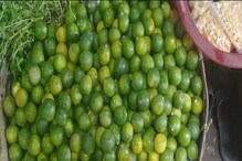 লেবু আর পাতি নয় ! ১০ টাকায় একটা পাতি লেবু ! আকাশ ছোঁয়া দাম ! কেন এত দাম? জানুন লেবু আর পাতি নয় ! ১০ টাকায় একটা পাতি লেবু ! আকাশ ছোঁয়া দাম ! কেন এত দাম? জানুন