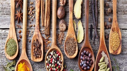 প্রতীকী ছবি। প্রতীকী ছবি।