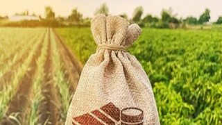 আর দেওয়া যাবে না কর ফাঁকি! ধনী কৃষকদের নিয়ে কড়া মনোভাব কেন্দ্রের 