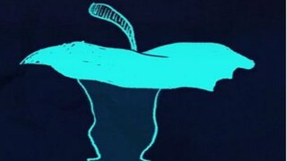 Photo Courtesy: @brightside.official/TikTok)