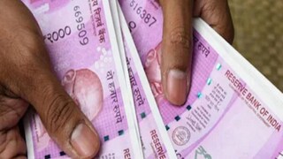 ঔষধি গুণে ভরপুর এই ফসল, করোনার সময় থেকেই চাহিদা তুঙ্গে, চাষ করলে লক্ষাধিক টাকা লাভ! ঔষধি গুণে ভরপুর এই ফসল, করোনার সময় থেকেই চাহিদা তুঙ্গে, চাষ করলে লক্ষাধিক টাকা লাভ!