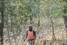 বাংলা নববর্ষে পর্যটকদের নয়া উপহার বেঙ্গল সাফারি পার্কের! শুনলেই মন ভাল হয়ে যাবে