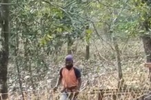 বাংলা নববর্ষে পর্যটকদের নয়া উপহার বেঙ্গল সাফারি পার্কের! শুনলেই মন ভাল হয়ে যাবে বাংলা নববর্ষে পর্যটকদের নয়া উপহার বেঙ্গল সাফারি পার্কের! শুনলেই মন ভাল হয়ে যাবে