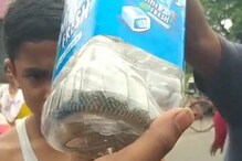 বাইক স্টার্ট দিতেই পায়ে অসহ্য যন্ত্রণা! কী কামড়াল চালককে! শুনলে হা হবেন বাইক স্টার্ট দিতেই পায়ে অসহ্য যন্ত্রণা! কী কামড়াল চালককে! শুনলে হা হবেন
