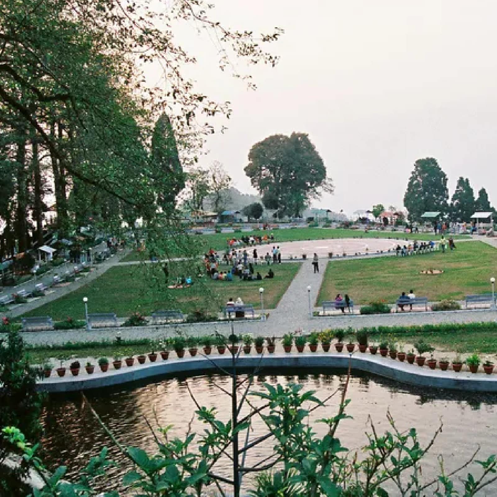 নাইটিঙ্গল পার্ক। এখান থেকে কাঞ্চনজঙ্ঘার ভিউ অসাধারণ। 