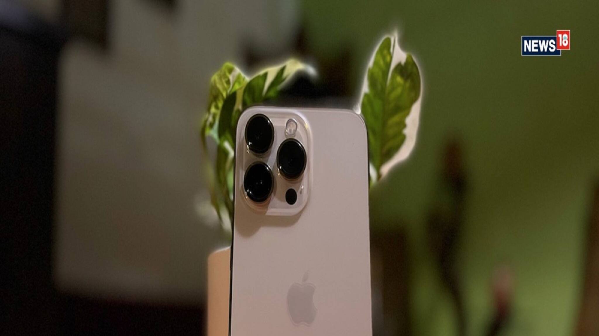 Apple-এর 'শট অন iPhone' ম্যাক্রো ফটোগ্রাফি চ্যালেঞ্জ-এ সেরা ১০টি ছবি, আছে এক বাঙালির তোলা ছবিও, দেখে নিন এক ঝলকে